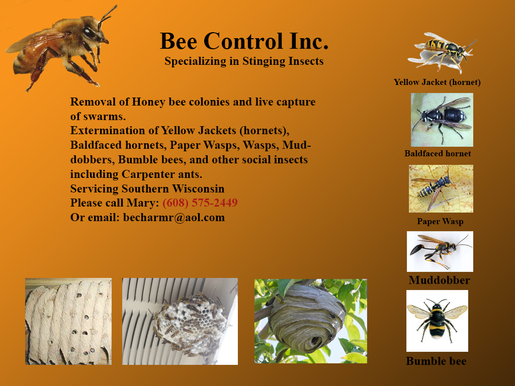 Bee control Inc page